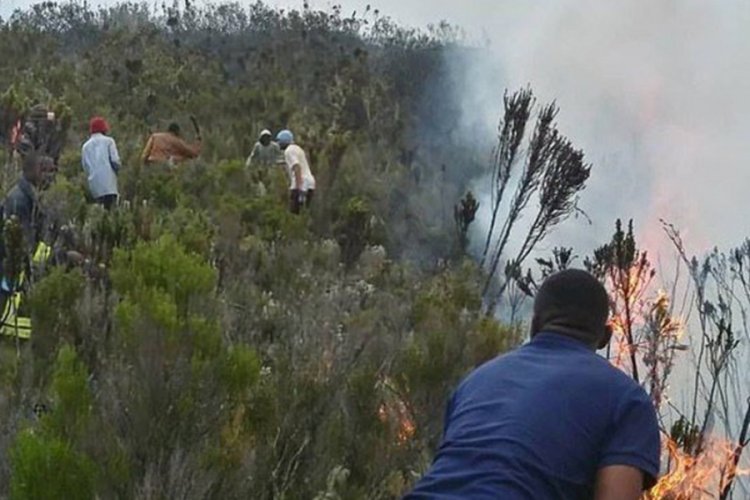 Kilimanjaro'daki yangını 500 g&ouml;n&uuml;ll&uuml; s&ouml;nd&uuml;rmeye &ccedil;alışıyor