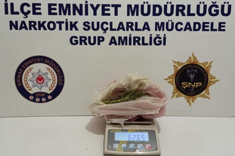 Şırnak'ta ka&ccedil;ak&ccedil;ılık operasyonları: 21 g&ouml;zaltı