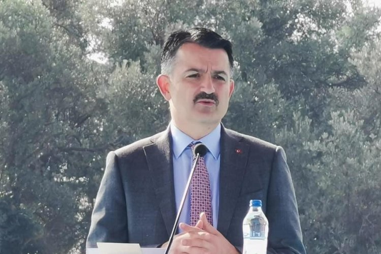 Bakan Pakdemirli: "&Ccedil;iğ s&uuml;t destekleri bug&uuml;n 18.00'den sonra yapılacak"