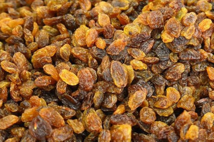 T&uuml;rkiye, d&uuml;nya kuru &uuml;z&uuml;m ihracatının y&uuml;zde 36'sını tek başına yapmayı hedefliyor