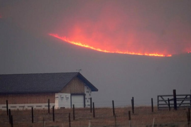 Colorado'da orman yangınları durdurulamıyor