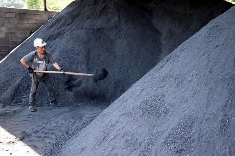 'Kara elmas'ı g&uuml;n y&uuml;z&uuml;ne &ccedil;ıkaran firmalar, Kovid-19 s&uuml;recinde de kazandırdı