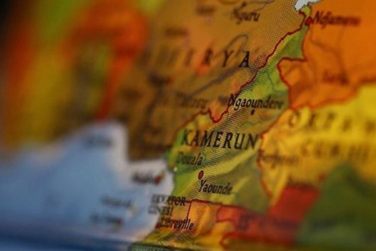 Kamerun'da okula saldırı: 8 ölü