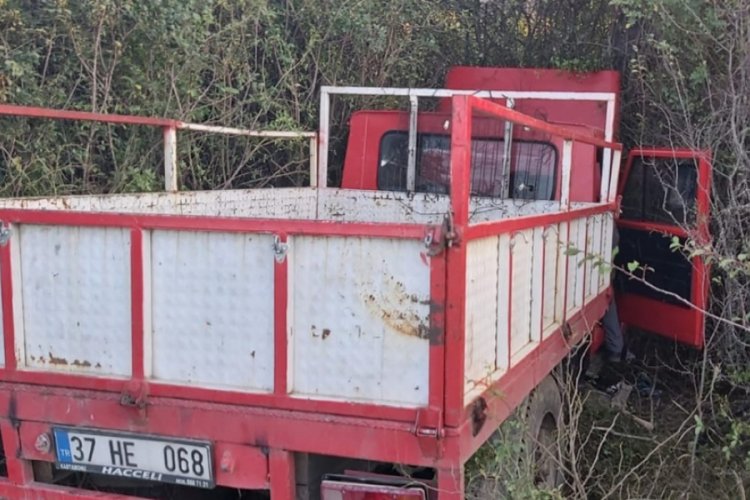 Yoldan &ccedil;ıkan kamyon ağa&ccedil;lık alana girdi: 2 yaralı