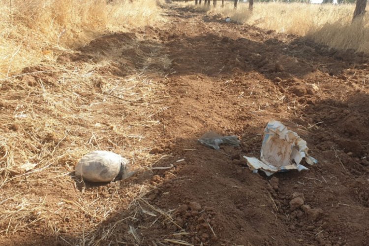 Ceylanpınar'da yol kenarında 8 kilo patlayıcı bulundu