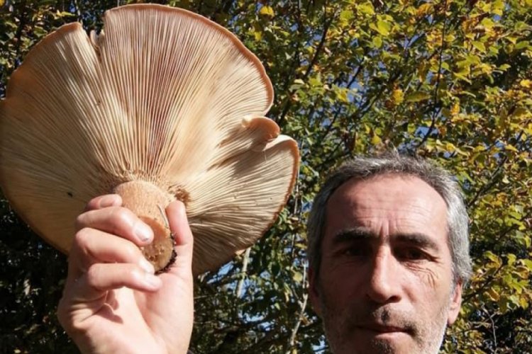 Yaylada 620 gramlık mantar buldu