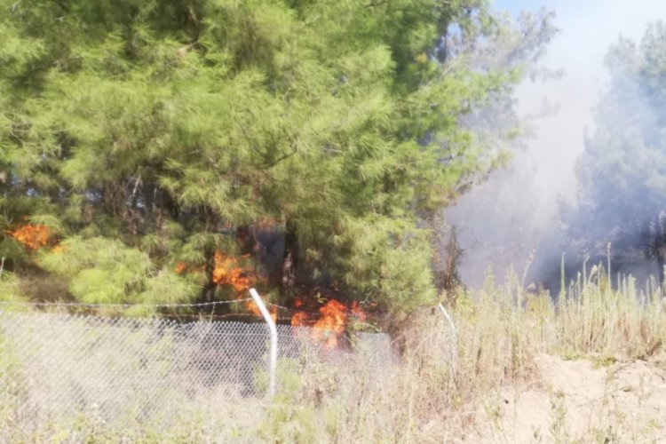 İskenderun'da orman yangını