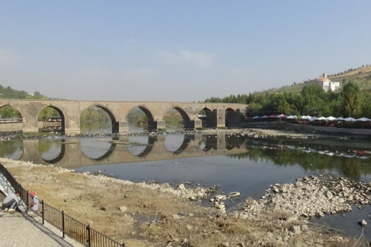 Dicle Nehri'nde telef olan balıklar kıyıya vurdu