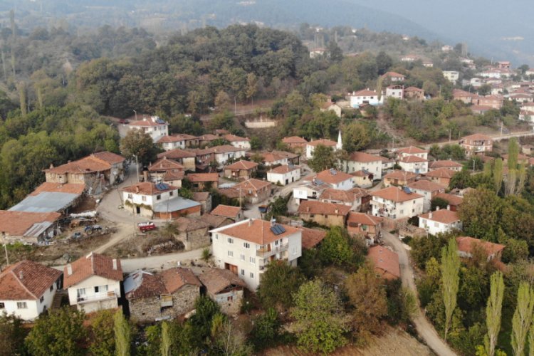 Koronavirüs Bursa'daki bu köye uğramadı