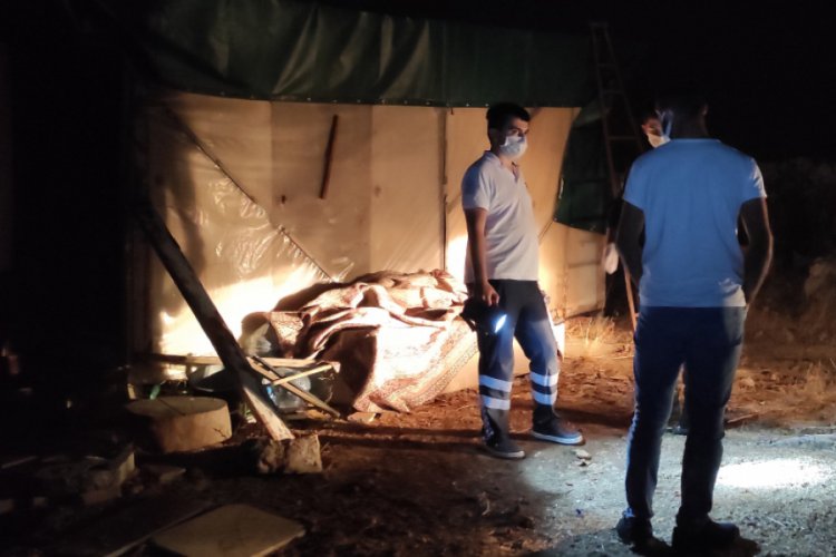 K&ouml;peğin havlamasıyla baraka &ouml;n&uuml;ndeki kanepede &ouml;l&uuml; bulundu