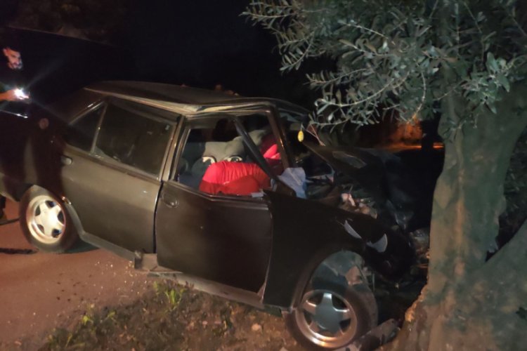 Bursa Orhangazi'de ağaca çarpan otomobilin sürücüsü yaralandı
