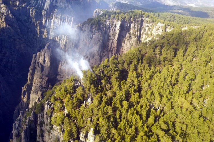 Tazı Kanyonu'nda orman yangını