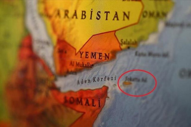 Yemen'deki BAE destekli güçler, Sokotra Limanı Müdürünü alıkoydu