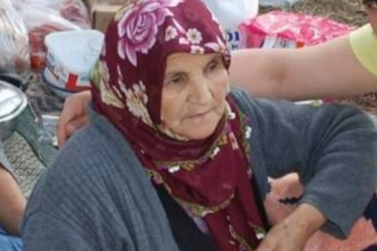 Bursa'da mantar toplamaya giden yaşlı kadın dağda kayboldu