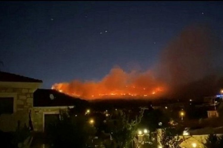 İzmir'de yangın: 3 hektar alan zarar gördü