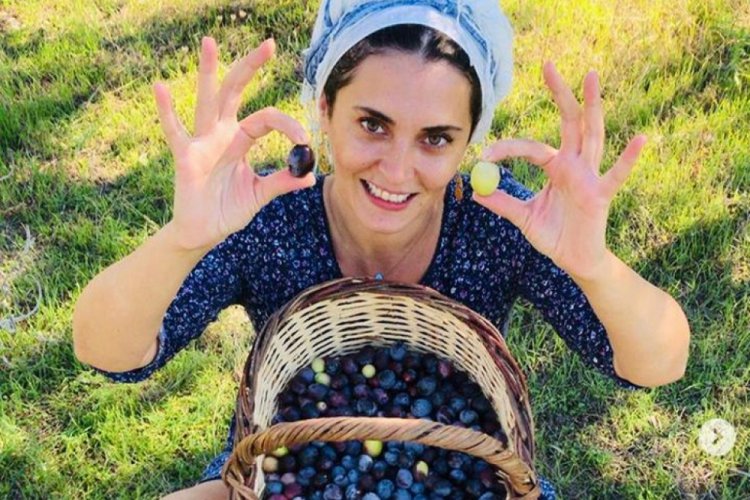 Aslıhan G&uuml;rb&uuml;z zeytin topladı