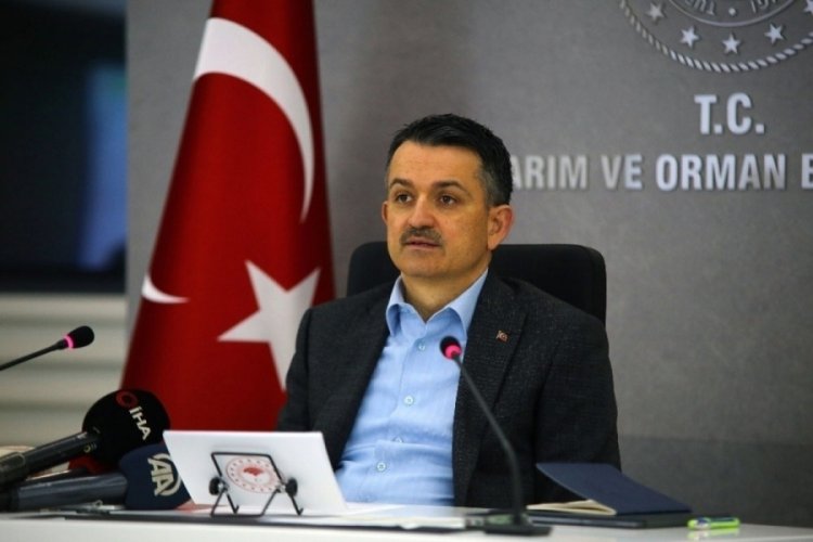 Bakan Pakdemirli: "&Ccedil;in'e ilk kez kanatlı et ve &uuml;r&uuml;nleri ihracatı başladı"