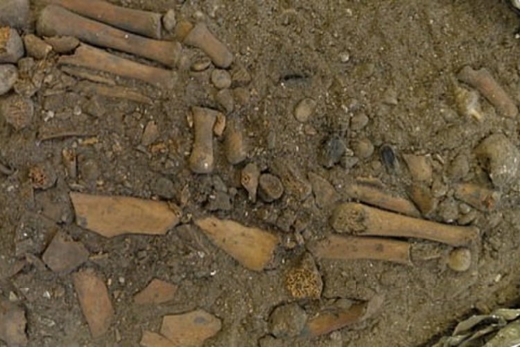 Endonezya'da 8 bin yıllık çocuk mezarı keşfedildi