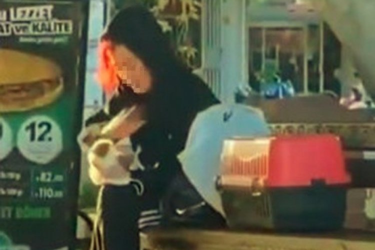 Beslediği hamsterı &ouml;nce tokatladı, sonra ısırmaya &ccedil;alıştı