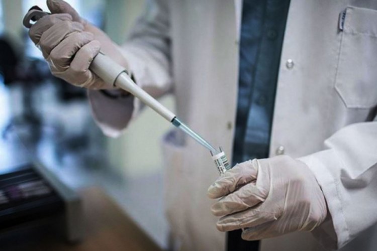 Pfizer, Kovid-19 aşısı için ABD'nin dört eyaletinde pilot uygulama programı başlattı