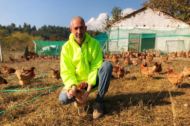 Bursa'da gezen tavuk yumurtalarına ilgi büyük