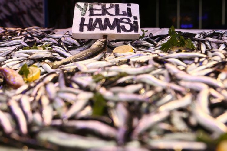 Karadeniz'de hamsi balık&ccedil;ıların ve vatandaşın y&uuml;z&uuml;n&uuml; g&uuml;ld&uuml;rd&uuml;