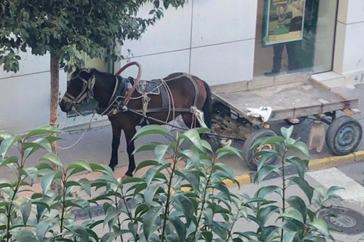 At arabasını kaldırıma park eden kişiye 132 lira ceza