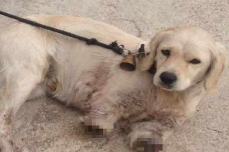 &Ouml;n bacakları kesilmiş halde bulunmuştu! 3 kişi g&ouml;zaltına alındı
