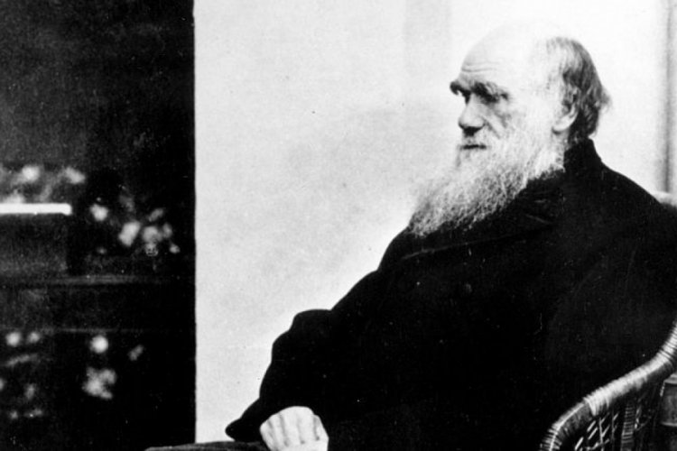 Darwin'in notlarının 20 yıldır kayıp olduğu anlaşıldı