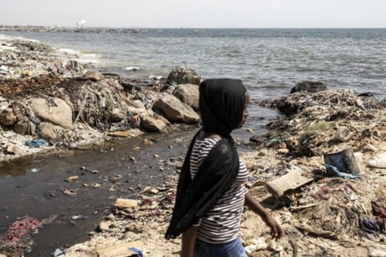 Senegal'de denizdeki kimyasal maddeden etkilenenlerin sayısı 1000'i geçti