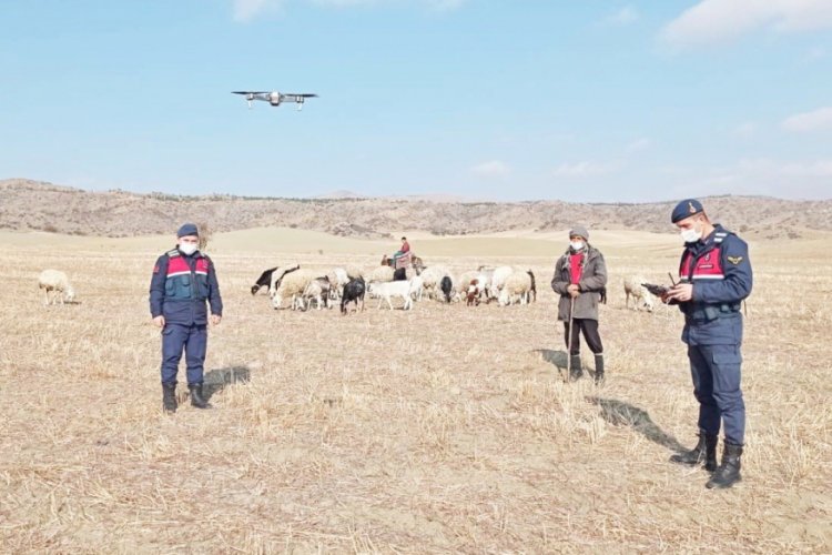 Çorum'da 30 küçükbaş hayvan 'drone' yardımıyla bulundu