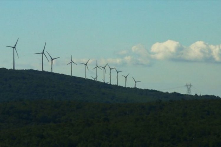 Rüzgardan elektrik üretimi, tüm yenilenebilir kaynakların toplamını geçti