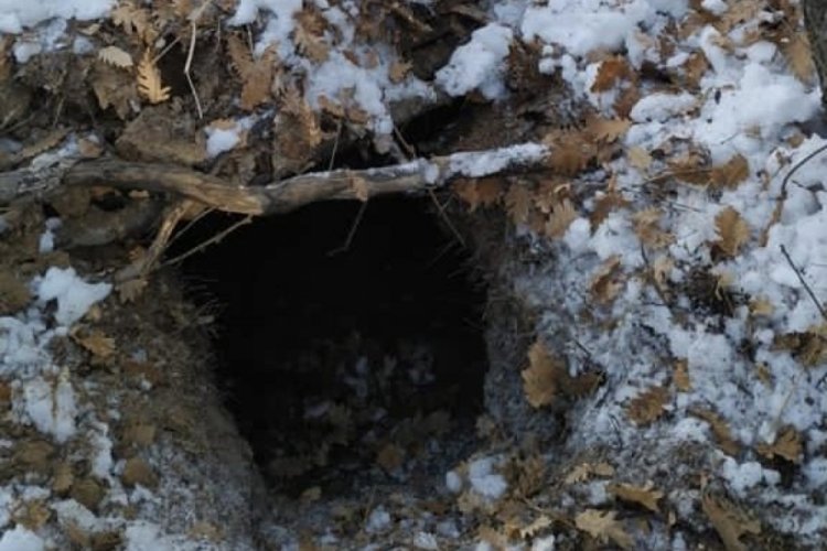 Tunceli'de 14 sığınak imha edildi