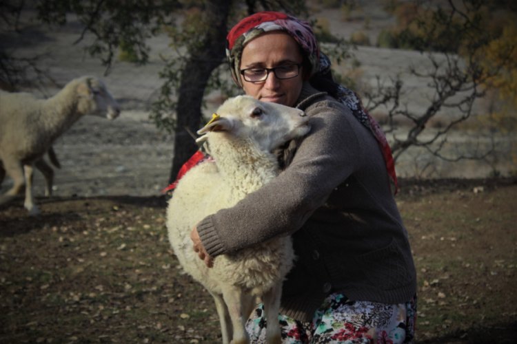 Bursa'da dağlarda 150 koyununa çobanlık yapıyor