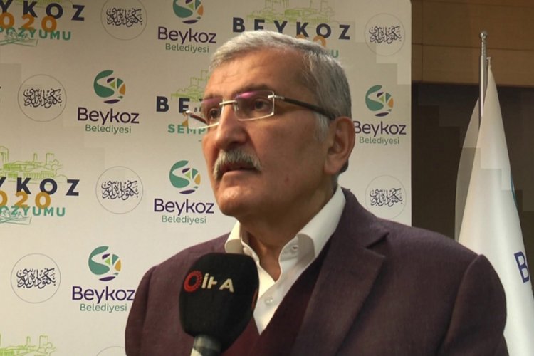 Beykoz'da bulunan yaklaşık 500 milyon yıllık fosiller heyecan uyandırdı