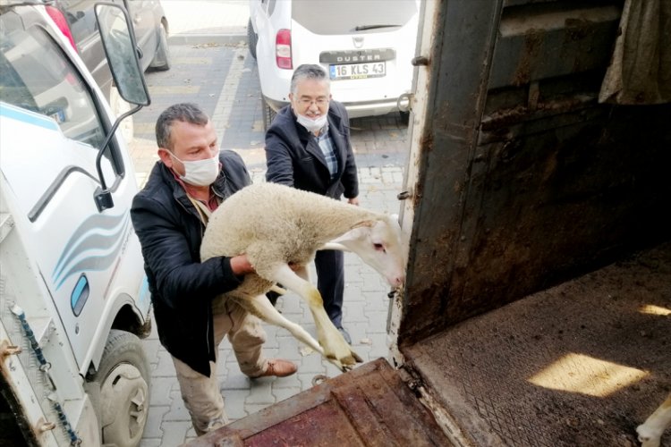 Bursa'dan Kütahya'da yangında 70 koyunu telef olan üreticiye destek seferberliği