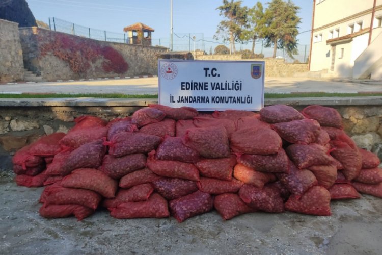 Edirne'de 600 bin TL'lik 3 ton kum midyesi ele geçirildi