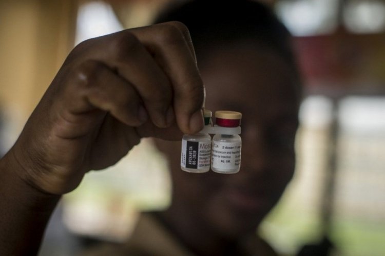 DSÖ'den sıtma uyarısı: 409 bin kişi öldü