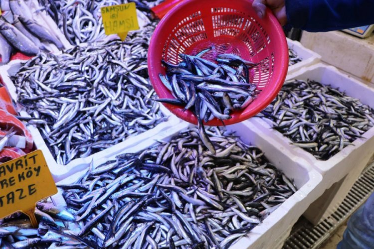 Karadeniz'de hamsinin kilosu 8 lira