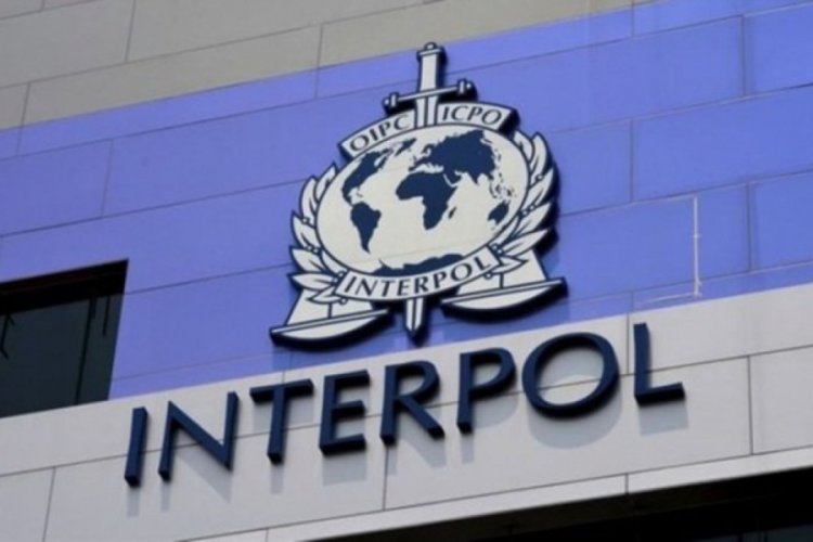 Interpol'ün kırmızı bültenle aradığı terörist Şanlıurfa'da yakalandı