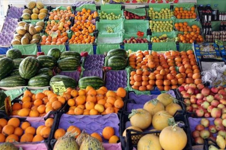 Yaş meyve ve sebze ihracatı kasımda 371,5 milyon dolara ulaştı