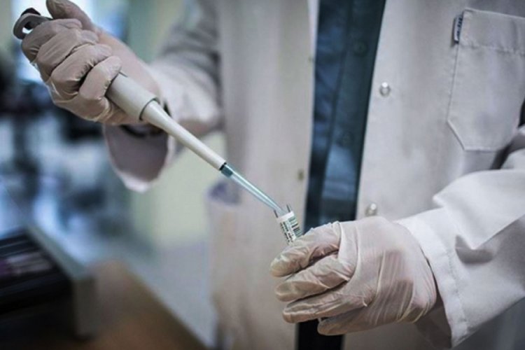 DSÖ, seyahatler için "aşı sertifikası"nı inceleyecek