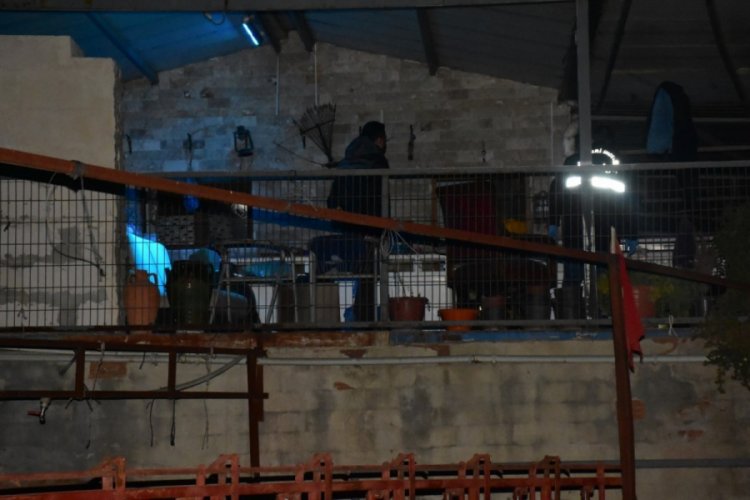Komşu kavgası kanlı bitti: 1 &ouml;l&uuml;