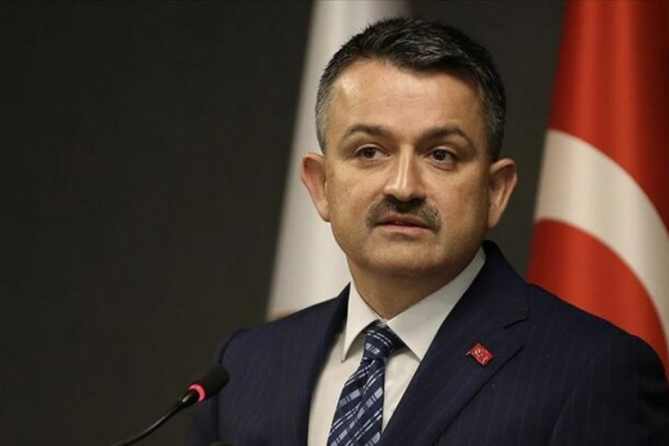 Bakan Pakdemirli: 14 bin 476 projeye, 1.2 milyar euro destek verildi