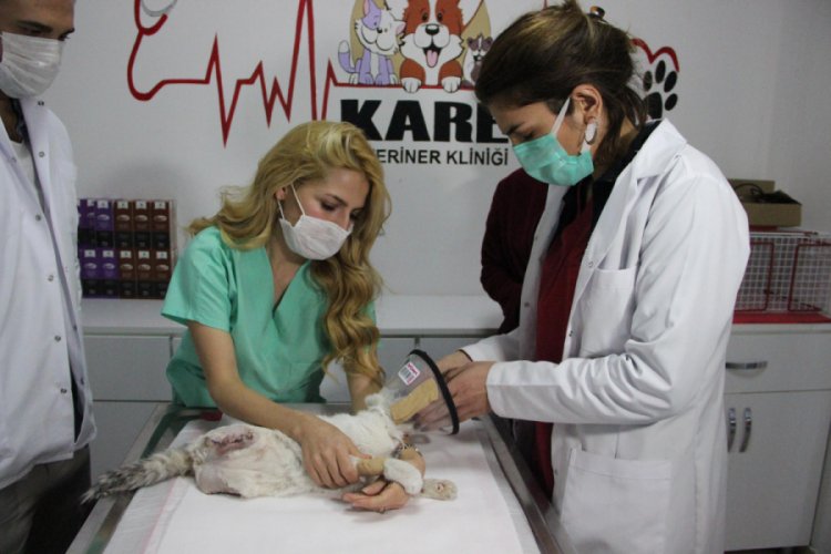 Ayakları kesilmiş halde bulundu