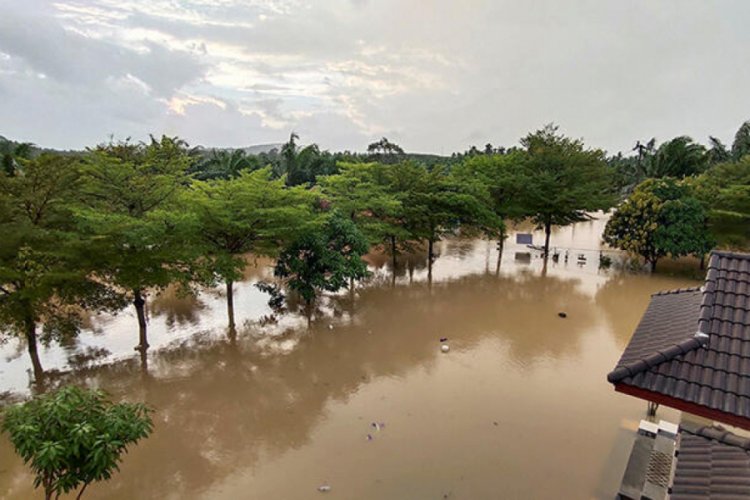 Tayland'daki sel felaketinde &ouml;l&uuml; sayısı 13'e y&uuml;kseldi