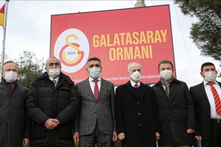 Galatasaray Hatıra Ormanı'nda ilk fidanlar toprakla buluştu