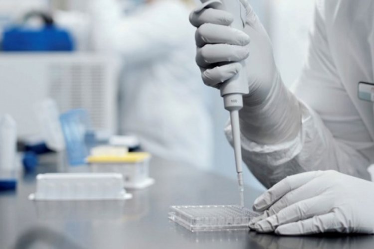 BIS: Aşıyla finans piyasalarındaki y&uuml;kseliş varlık fiyatlarında gerilimi artırdı