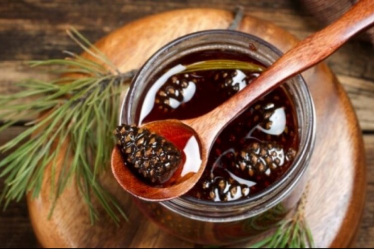 Daha g&uuml;&ccedil;l&uuml; bir bağışıklık &ccedil;am kozalağı şurubuyla m&uuml;mk&uuml;n (&Ouml;ZEL HABER)