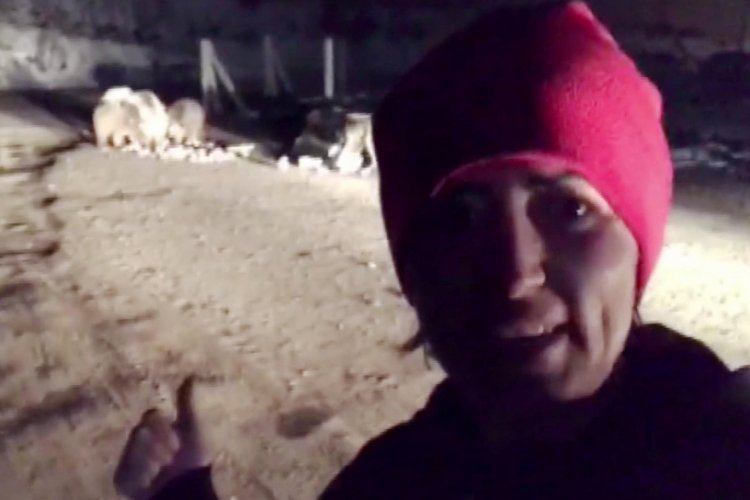 İl&ccedil;e merkezine inen ayı ve yavrularıyla selfie
